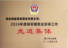 喜報！領(lǐng)威保安榮獲“2024年度保安服務(wù)業(yè)安保工